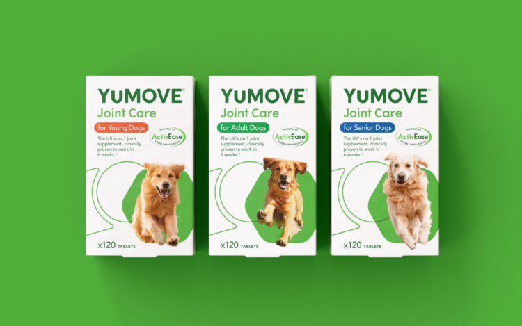 Keep Your Canine Companion Active with YuMOVE Joint Supplements