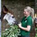 ZSL: Pioneering Conservation Through Innovation