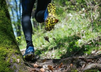 Trail Blaze con Forum Sport: La experiencia perfecta del trail running