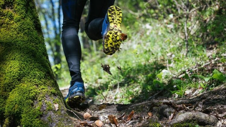 Trail Blaze con Forum Sport: La experiencia perfecta del trail running
