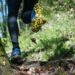 Trail Blaze con Forum Sport: La experiencia perfecta del trail running