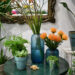 Embrace Nature at Home with Moyses Stevens’ Exquisite Houseplants
