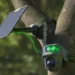 Reolink: Verstärken Sie Ihre Sicherheit mit batteriebetriebenen Kameras