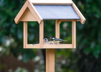 Entdecken Sie die neue Produktpalette von Vivara.de für einen vogelfreundlichen Garten