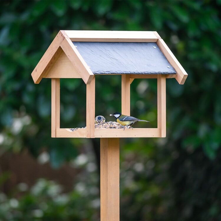 Entdecken Sie die neue Produktpalette von Vivara.de für einen vogelfreundlichen Garten