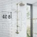 Indulge in Luxury: Explore the Latest Modern Shower Systems at Wholesale Domestic