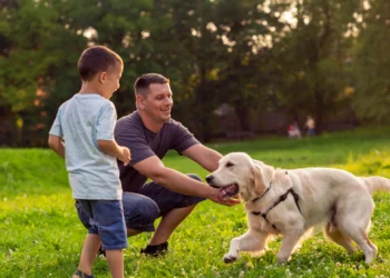 Revitalize Your Pet’s Health: 30% Off YuMOVE Collections with Code SPRING30!