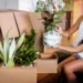 Lively Root: The Mysterious World of Houseplants and Trees That Will Revitalize Your Home
