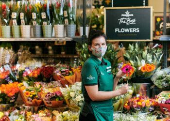 Fresh Blooms Await: Explore Morrisons’ Flower Collection