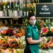 Fresh Blooms Await: Explore Morrisons’ Flower Collection