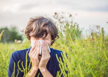 Allergy Allies: The Independent Pharmacy’s Hay Fever Solutions