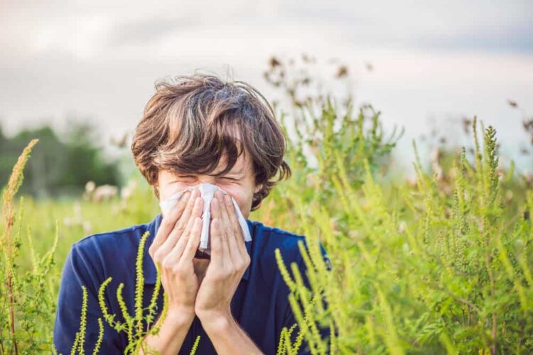 Allergy Allies: The Independent Pharmacy’s Hay Fever Solutions