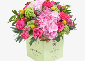 Seasonal Splendor: Explore the Variety in Moyses Stevens Roses Collection