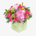 Seasonal Splendor: Explore the Variety in Moyses Stevens Roses Collection