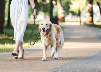 Save Big on Pet Health: YuMOVE’s May Sale Offers 30% Off!