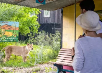 Discover London Zoo: A Hub of Wildlife, Conservation, and Adventure