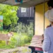 Discover London Zoo: A Hub of Wildlife, Conservation, and Adventure