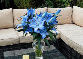 Stunning Flower Bouquets for Every Occasion from Haute Florist