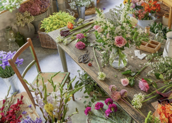 Bloom with Joy: Discover the Magic of Freddie’s Flowers