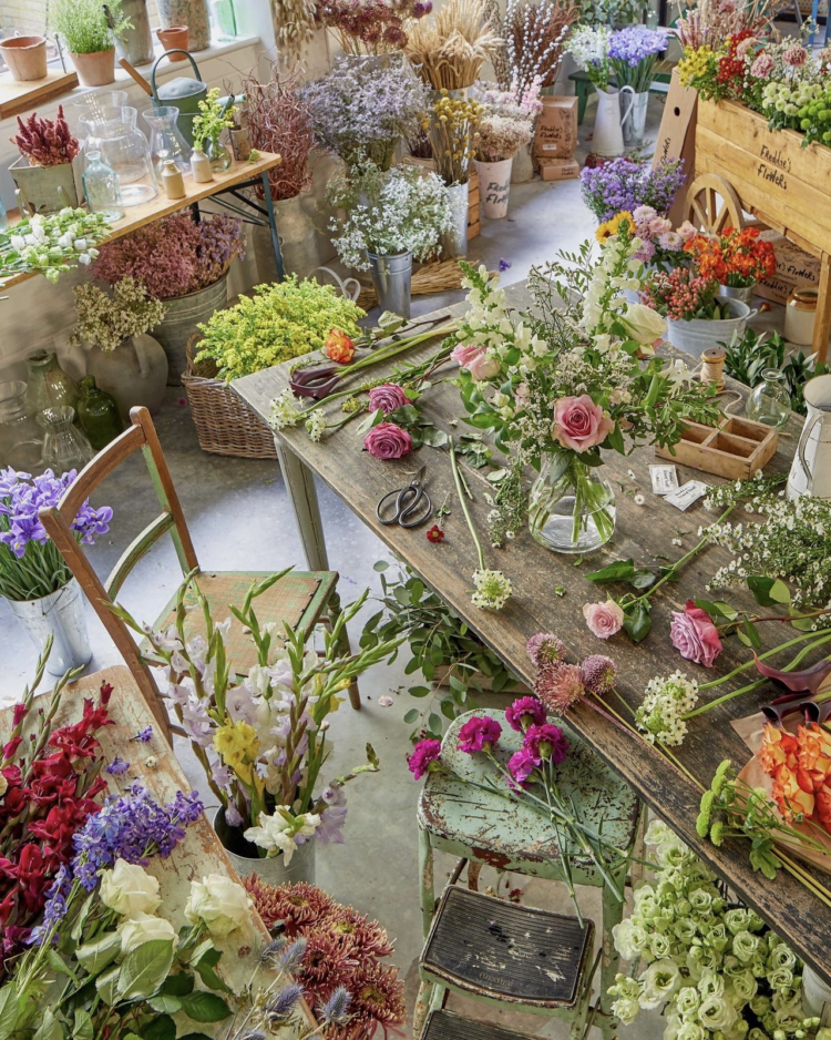 Bloom with Joy: Discover the Magic of Freddie’s Flowers