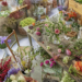 Bloom with Joy: Discover the Magic of Freddie’s Flowers