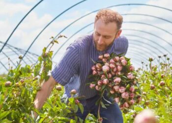 Discover Fresh Floral Delights with Freddie’s Flowers
