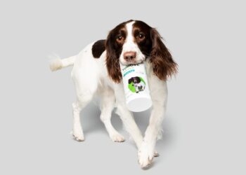 Transform Your Dog’s Mobility with YuMOVE: The Ultimate Joint Care Solution