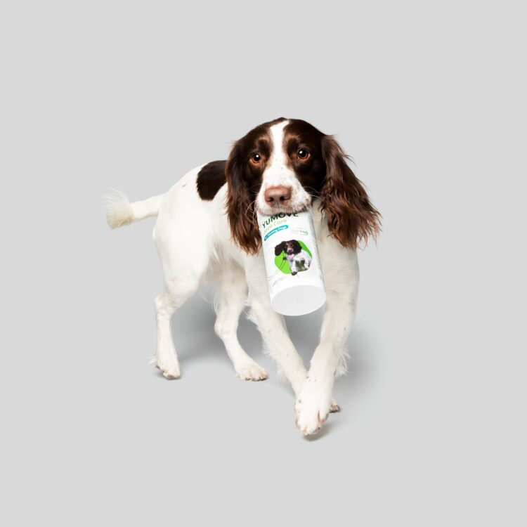 Transform Your Dog’s Mobility with YuMOVE: The Ultimate Joint Care Solution