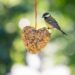 Die Natur nähren: Entdecken Sie die exquisite Vogelfutter-Kollektion von Vivara
