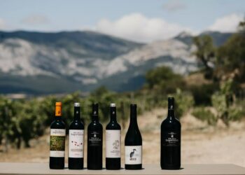 Celebre la Esencia de Solar de Samaniego: Un Recorrido por Sus Finos Vinos