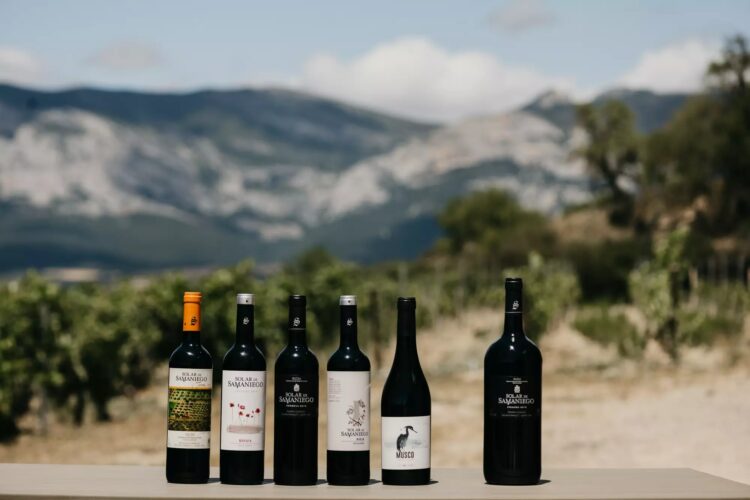 Celebre la Esencia de Solar de Samaniego: Un Recorrido por Sus Finos Vinos