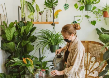 Flower Station: Your Destination for Gorgeous Potted Plants