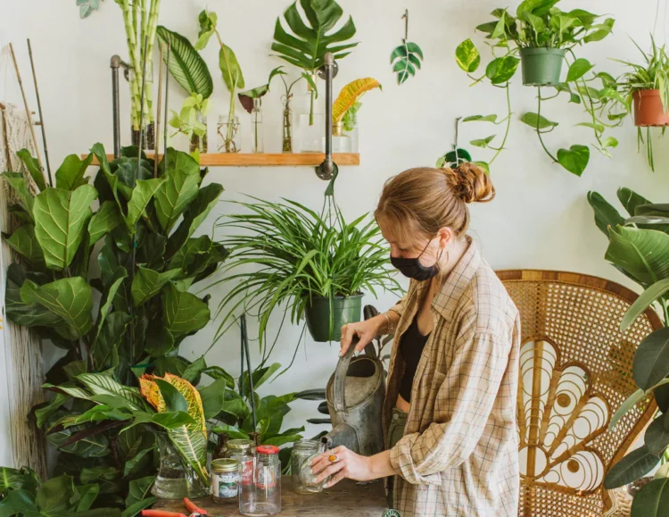 Flower Station: Your Destination for Gorgeous Potted Plants