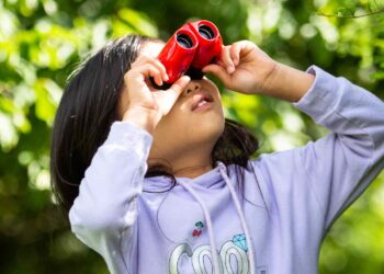 Embrace Nature’s Splendor with Unbeatable Deals at the RSPB Shop Sale & Clearance!