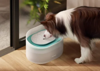 Petlibro Fountain Accessories: Keep Your Pet’s Water Fresh and Clean