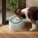 Petlibro Fountain Accessories: Keep Your Pet’s Water Fresh and Clean
