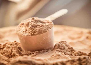 Choosing the Right Protein Powder: Key Factors to Consider