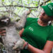 Support Wildlife Conservation with ZSL’s Animal Toys and Adoption Programs