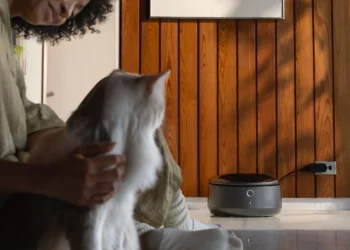 Discover Petlibro: Innovative Solutions for Your Pet’s Well-being and Happiness