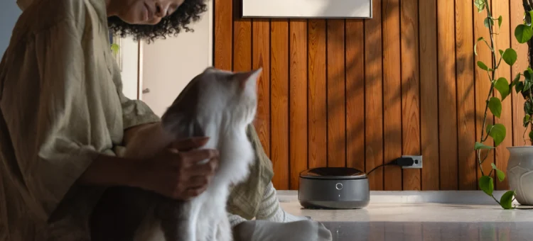 Discover Petlibro: Innovative Solutions for Your Pet’s Well-being and Happiness