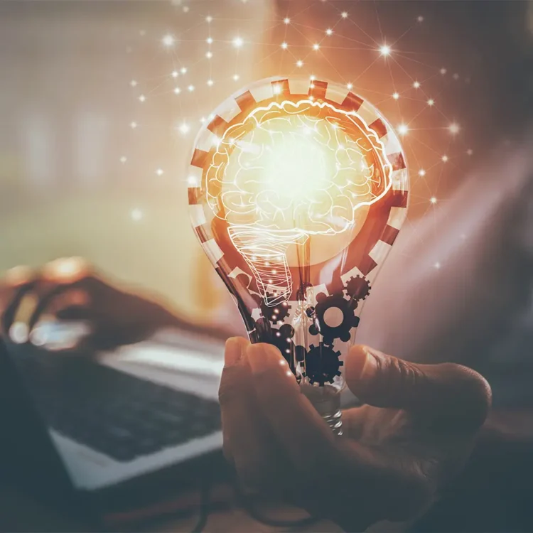 The Power of Knowledge: Centre of Excellence Courses That Make a Difference