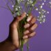 Long-Lasting Beauty: Explore Mylee’s Nail Extension Collection