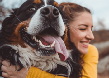 YuMOVE: Discover the UK’s Top Veterinary Joint Supplement Brand for Pets