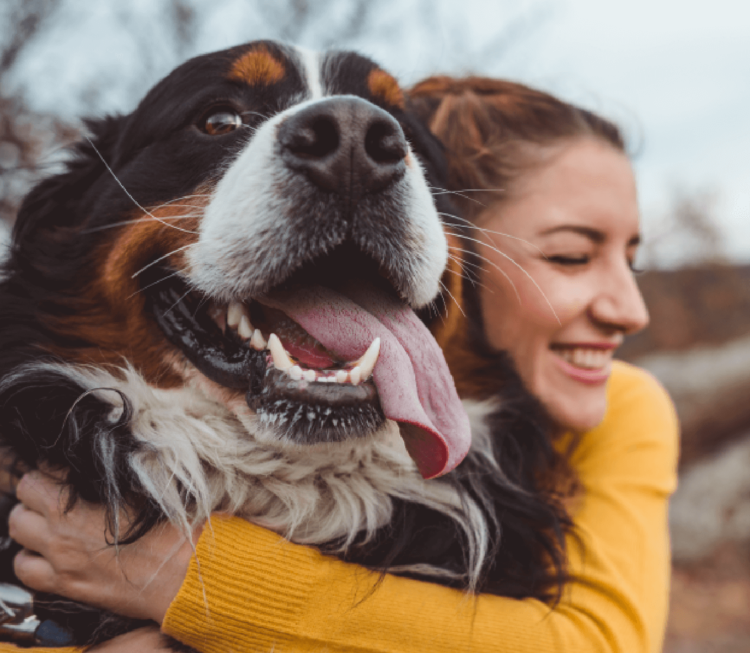 YuMOVE: Discover the UK’s Top Veterinary Joint Supplement Brand for Pets