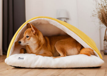 A Look at FunnyFuzzy’s Elite Pet Beds: Comfort, Security, and Style