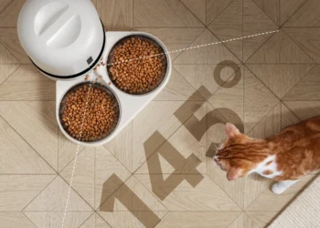 Transform Your Pet Care Routine with the Petlibro Automatic Feeder
