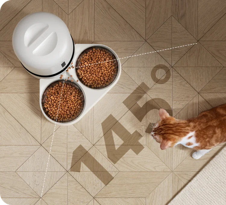 Transform Your Pet Care Routine with the Petlibro Automatic Feeder