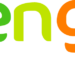 Pourquoi Wengo est la première plateforme européenne de voyance et de bien-être ?