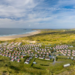 Experience the Best of British Getaways with Away Resorts