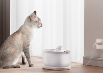 Petlibro: Revolutionizing Pet Care with Innovative Hydration Solutions